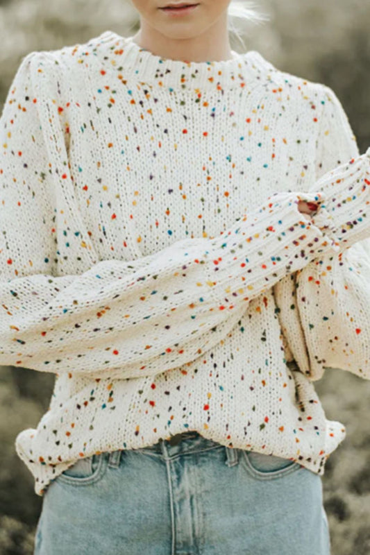 Confetti Round Neck Long Sleeve Sweater