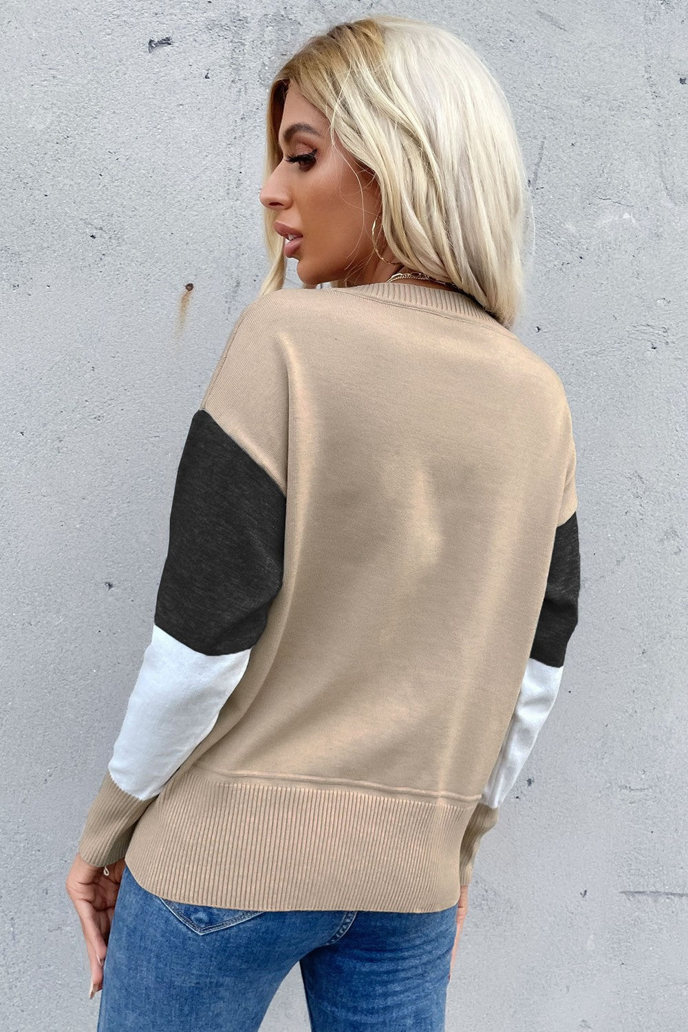 Color Block Ribbed Trim Round Neck Knit Pullover