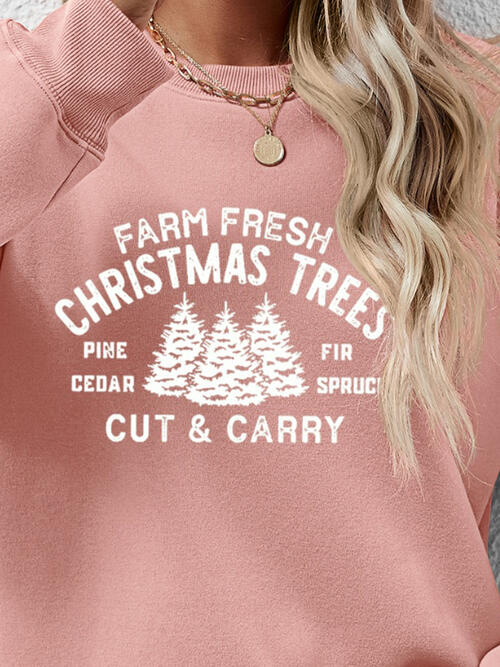 Farm Fresh Christmas Trees Cut & Carry Round Neck Graphic Long Sleeve Sweatshirt